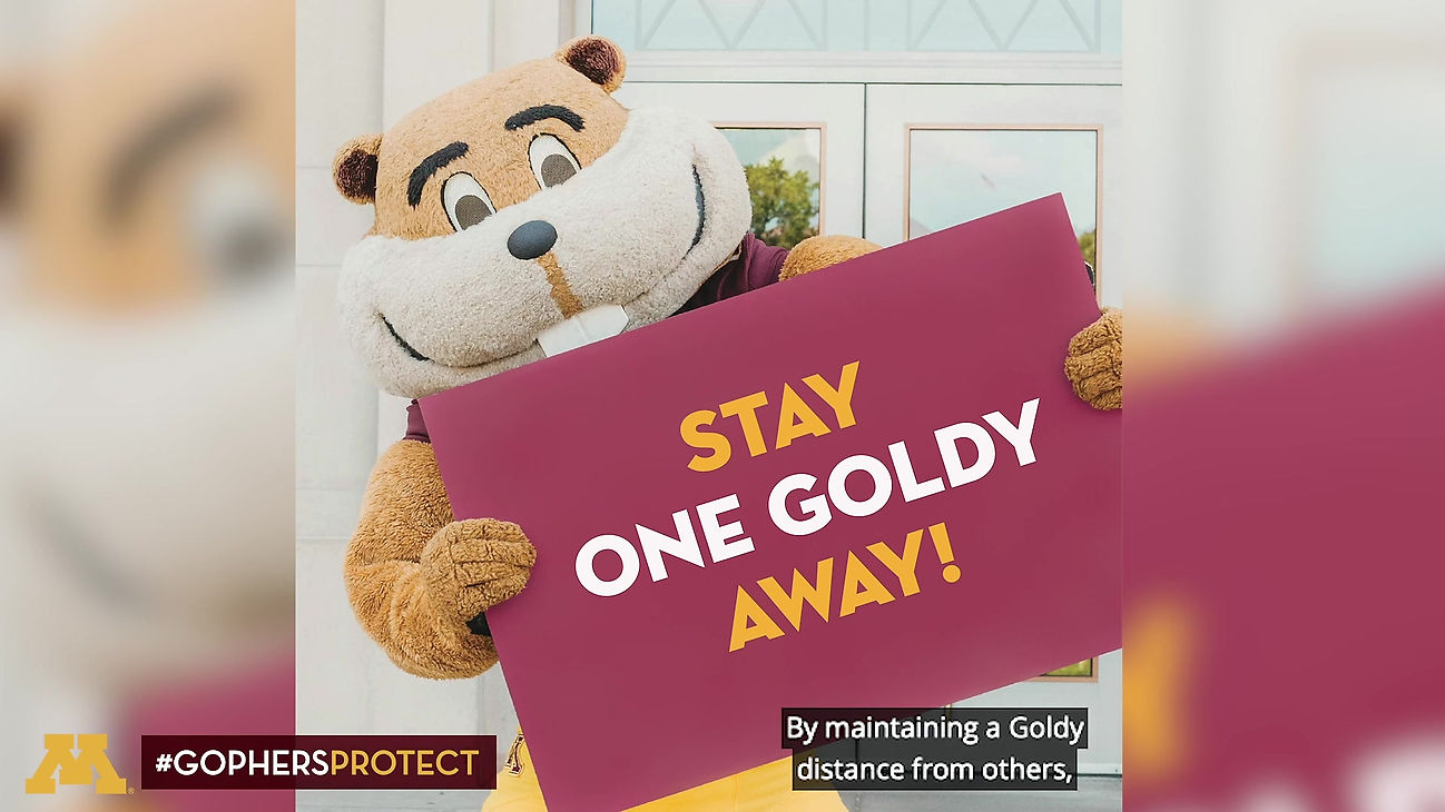 Gophers Protect